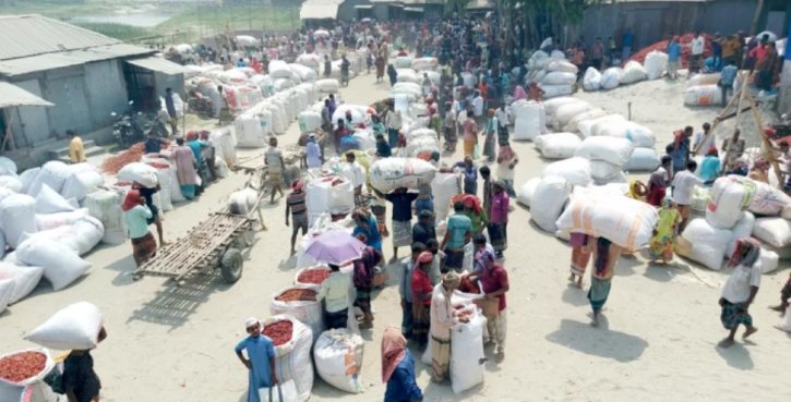 গাইবান্ধায় কোটি টাকার লাল মরিচের হাট